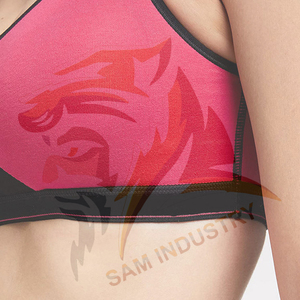 Soutien-gorge de sport pour femme robuste, style uni, logo personnalisé sur le devant, en Spandex/Nylon, respirant et à séchage rapide - Product Image 6