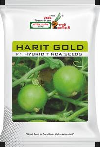 Advanta GOLDEN SELECTION Classic Tinda <strong>Seeds</strong> F1 Hybrid Vigorous <strong>Creeper</strong> Fresh Okra with Uniform Green Round Fruit - Product Image 6