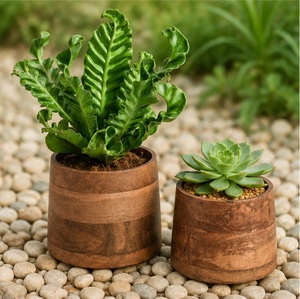 Juego de Macetas de Madera de Mango Sostenible Hechas a Mano, Macetas Decorativas Redondas Ecológicas para Interiores, Oficina y Decoración Moderna del Hogar - Product Image 4