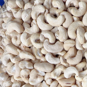 Fournisseur de Confiance Noix de Cajou Bio Torréfiées W240 Prix Mondiaux des Noix de Cajou Santigo Ltd de Santigo Vietnam - Product Image 1