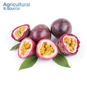 Fruta de la Pasión premium-Deliciosa Jugosa Nutrición rica orgánica Fruta de la Pasión fresca tropical-Para postre-De la fábrica de Vietnam - Product Image 3