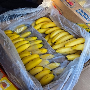 Bananes Cavendish Biologiques Fraîches, Naturellement Sucrées, Nutritives et Cueillies à la Main pour les Fournisseurs Mondiaux - Product Image 1