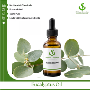 Aceite de Eucalipto para Compradores Mayoristas Internacionales que Buscan un Suministro Confiable para Fragancias, Cosméticos, Cuidado Personal y Aromaterapia - Product Image 1