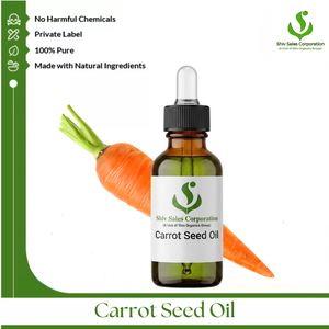 Exportateur d'huile essentielle de graines de carotte naturelle, fournissant des approvisionnements en vrac de qualité supérieure pour les fabricants de produits cosmétiques et les entreprises de beauté - Product Image 1