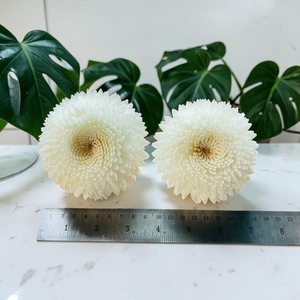 VADEE Premium White Snow Chrysanthemum 003 <b>Diffuser</b> Flower Sola Wood Handmade Sustainable Craft Sesbania <b>Reed</b> Seafoam Green - Product Image 6