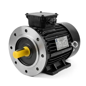 Moteur électrique industriel à montage sur bride, robuste, à enroulement en cuivre, haute efficacité, pour pompes, compresseurs et machines - Product Image 3