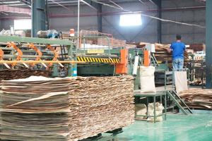 Contrachapado de Abedul Impermeable con Núcleo de Goma, Estándar E0, de 9-12-15-18-21 mm, Personalizado para Decoración de Muebles de Interior, para Sala de Estar y Dormitorio - Product Image 6