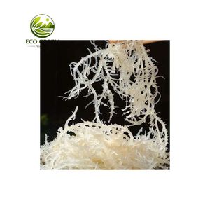 Premium Dried Sea Moss Natural Irish Moss Wholesale Bulk Organic Seaweed Superfood for Drink Smoothies And Food - Product Image 6