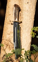 Couteau Bowie personnalisé à forte demande |   Couteau de survie d'extérieur à lame pleine avec poignée en bois de cerf et garde en laiton