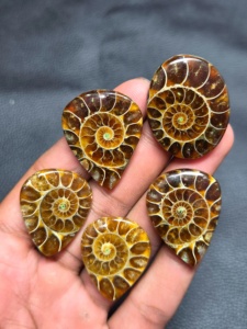 Vente en gros de cabochons d'ammonites, pierres précieuses naturelles polies, pierres brutes pour la fabrication de bijoux - Product Image 5