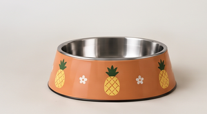 Gamelle Moderne en Émail Ananas Tropical Anti-Renversement pour Animaux de Compagnie, Bol Rond en Métal pour Chien et Chat, Distributeur d'Aliments avec Base Antidérapante en Caoutchouc, Vente en Gros - Product Image 3