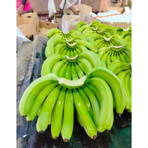 Bananes Cavendish vertes de qualité supérieure, produits frais bruts pour la production de chips, la cuisine et l'utilisation alimentaire industrielle - Product Image 1