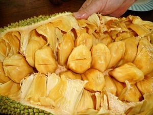 Jacquier séché sain et naturel/100% fruits secs biologiques/collation sucrée et savoureuse en gros - Product Image 2