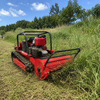 Tondeuse à fléaux diesel sur chenilles avec démarrage électrique et capacité de montée à 55 degrés pour la tonte des talus et des vergers