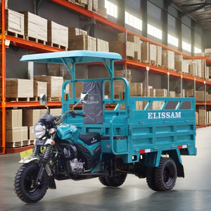 200cc un <span class=keywords><strong>tricycle</strong></span> à essence avec un pare-soleil pour <span class=keywords><strong>adultes</strong></span> utilisé pour le chargement des marchandises sur les chantiers de construction - Product Image 1