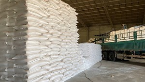 Amido di Tapioca e Cassava in Polvere per Addensare Alimenti, Ingredienti per Cucina e Pasticceria, Fornitura da Fabbrica Vietnamita - Product Image 2