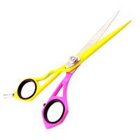 Ensemble de ciseaux de coiffure professionnels pour salon de coiffure avec manche personnalisé en acier inoxydable argenté 6,0 pouces Beauté