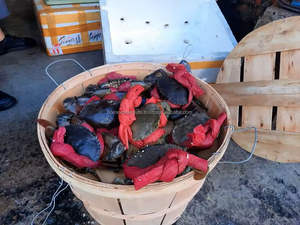 Panier de rangement pour fruits de mer en bambou durable, rond, en forme de crabe, en gros, durable, écologique, construction naturelle du Vietnam - Product Image 4