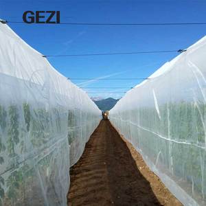 Filet anti-insectes agricole 24 32 40 mailles pour la Thaïlande et le <span class=keywords><strong>Vietnam</strong></span>, 50g-110g, protection UV, filet de serre en HDPE, couverture intégrale - Product Image 6