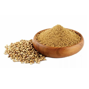 Cilantro en Polvo de Alta Calidad, Especia Pura Molido para Uso Culinario, Fabricación de Alimentos y Distribución al por Mayor - Product Image 4