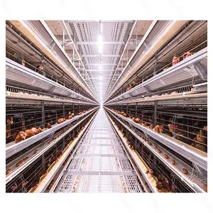 Fully automatic stainless steel wire chicken farm chicken farm equipment automatic chicken cage