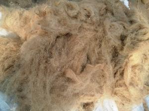 บรรจุภัณฑ์แบบกำหนดเองเกรดดีเป็นมิตรกับสิ่งแวดล้อมส่งออกข้อเสนอที่ถูกที่สุดของการตัดปอกระเจาในขนาดที่แตกต่างกันแคดดี้จากบังคลาเทศ - Product Image 6