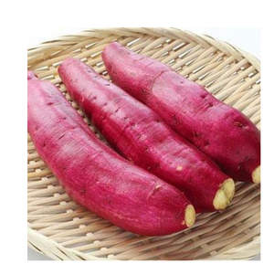 มันเทศแช่แข็งเกรดส่งออกสำหรับธุรกิจบริการอาหารระดับโลกและตลาดขายส่ง - Product Image 3