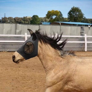 Wholesale Price Comfortable <b>Mesh</b> Horse Fly Mask Outdoor Riding Breathable Face Shield Anti <b>Insects</b> Visible Cover Ear Protection - Product Image 3