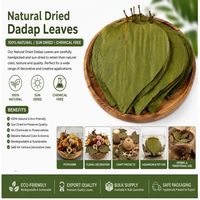 AQUA VRIKSHA Daun Dadap Kering Alami Premium (Daun Erythrina Variegata) | Bahan Baku Herbal, Potpourri | 11-15 cm | Paket isi 24