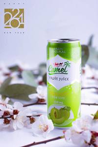 Jugo de Melón Camel de Alta Calidad y Sabor Dulce, 330 ml, Fabricante OEM en Vietnam - Product Image 3