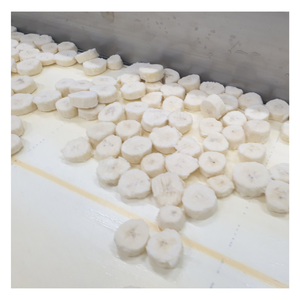 Frozen Banana Slices Export Grade Made from Carefully Selected Fresh Bananas with Superior Quality Competitive Pricing - Product Image 1
