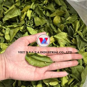 ใบมะกรูดแห้ง | อุปทานจำนวนมากสำหรับอุตสาหกรรมการทำอาหารและอาหาร/ดอกลิลลี่ - Product Image 3