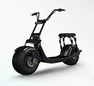 Scooter électrique Citycoco 1000W, directement de l'usine, 2 roues, 60V, prix abordable, moto électrique - Product Image 6