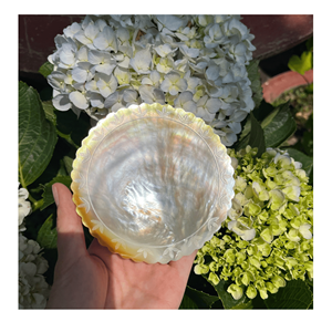 Bandeja de nácar con tiras de nácar sobre base con apariencia de teca para degustación de postres y servicio de café, hecha a mano en Vietnam. - Product Image 1