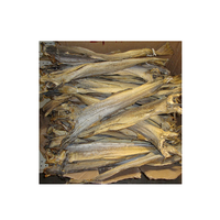 Meilleur Stockfish de Qualité Supérieure / Têtes de Stockfish Séchées / Morue Salée Séchée |   Produits biologiques faibles en sel, prêts à l'exportation