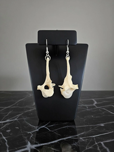 Pendientes de Hueso de Vértebra Pulidos, Ecológicos y de Origen Ético, Joyería Gótica de Boda con Hueso Animal Real, Únicos - Product Image 5
