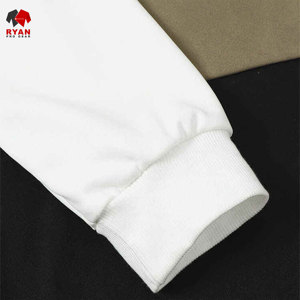 Sudaderas con Capucha Personalizadas con Logotipo en la Parte Delantera, Estilo Pullover, Color Sólido, para Hombre, 100% Algodón, Forro Polar Transpirable, Diseño ODM de Invierno, Cuello con Capucha - Product Image 2