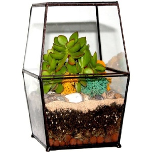 Terrario de Vidrio Irregular Hecho a Mano con Diseño Moderno, Recipiente Geométrico Dorado para Plantas Aéreas, Decoración del Hogar - Product Image 5