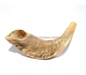 Shofar Kudu traditionnel en corne de bélier pour les cérémonies religieuses, le Nouvel An juif, le Rosh Hashanah et le Yom Kippur, corne de soufflerie rituelle, Israël - Product Image 3