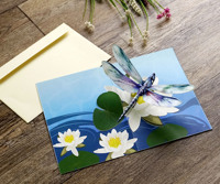 Carte de vœux avec modèle 3D pop-up de libellule et de fleur de lys aquatique
