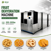 Déshydrateur Commercial à Pompe à Chaleur 300-500 kg pour Fruits (Mangues, Bananes) et Aliments