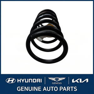 Forte New Leaf & Coil Springs 55330A7050 - Product Image 3