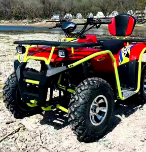 Moto tout-terrain ATV Wolf Warrior 200CC pour la plage, la jungle et le tourisme, transmission par chaîne CVT Longxin Power - Product Image 3