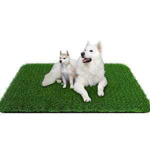 Alfombra de Césped Artificial Suave y Realista TH-PAG-600 para Perros, Excelente Drenaje y Comodidad, Apta para Vida en Apartamentos e Interiores - Product Image 1