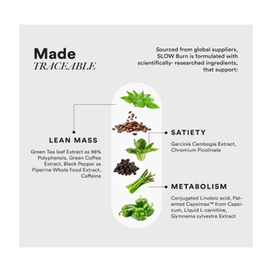 Suplemento de fertilidad natural para hombres con CoQ10 Maca L-Carnitina Zinc para aumentar la motilidad y la energía del conteo de espermatozoides - Product Image 2