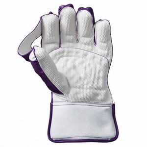 Fabrication sous contrat de gants de gardien de but de cricket avec logo de marque privée, commandes en gros pour distributeurs, importateurs et revendeurs - Product Image 6
