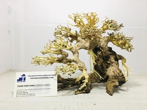 Décoration d'aquarium en bois flotté naturel de forme irrégulière, faite à la main, durable, fabriquée au Vietnam - Product Image 1