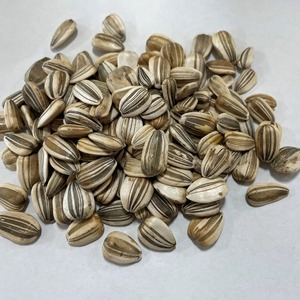 Graines de tournesol à gros noyaux sélectionnées, culture agricole pour la préparation de collations saines et la distribution internationale - Product Image 5