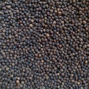 Raw Dried <b>Black</b> Pepper Spices Exporter Organic Spicy <b>Black</b> Pepper 1kg 24-Month Shelf Life for Food Low Price - Product Image 1