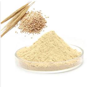 Gluten de Trigo de Primera Calidad, Venta al Por Mayor, Listo para Enviar, Grado Alimenticio, el Más Vendido, Suministro para Exportación - Product Image 6